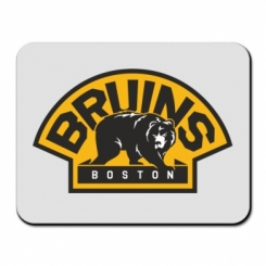     Boston Bruins