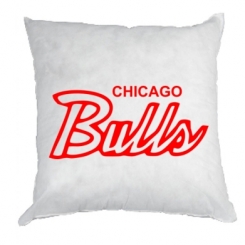   Bulls from Chicago