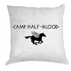   Camp half-blood