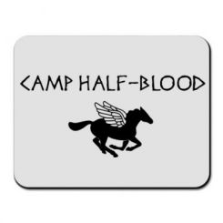     Camp half-blood