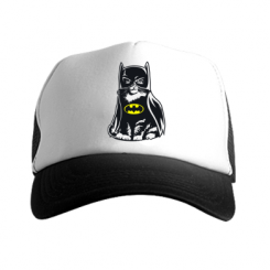  - Cat Batman