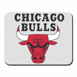     Chicago Bulls Classic
