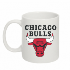   320ml Chicago Bulls Classic
