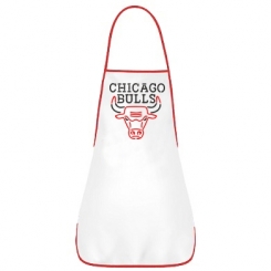   Chicago Bulls Logo