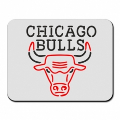     Chicago Bulls Logo