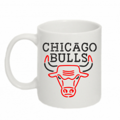   320ml Chicago Bulls Logo