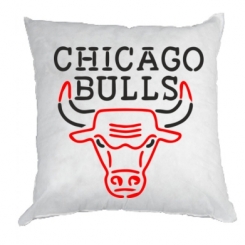   Chicago Bulls Logo