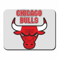     Chicago Bulls vol.2