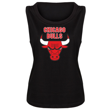    Chicago Bulls vol.2
