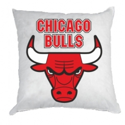   Chicago Bulls vol.2