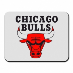     Chicago Bulls