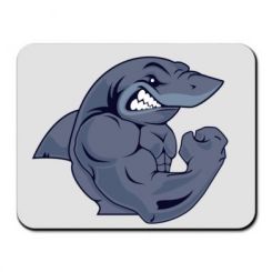     Gym Shark