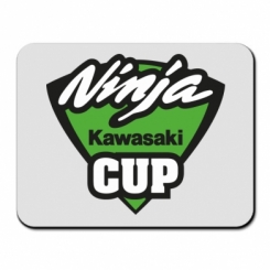     Kawasaki Ninja Cup