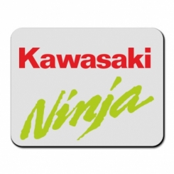     Kawasaki Ninja