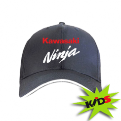    Kawasaki Ninja