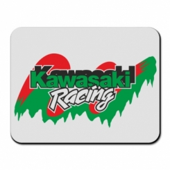     Kawasaki Racing