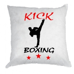   Kickboxing Fight