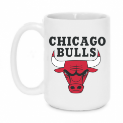   420ml Chicago Bulls Classic