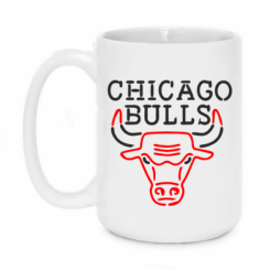  420ml Chicago Bulls Logo