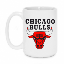   420ml Chicago Bulls