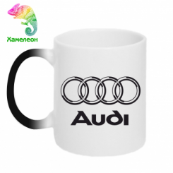  - Audi 