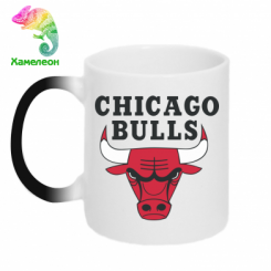  - Chicago Bulls Classic