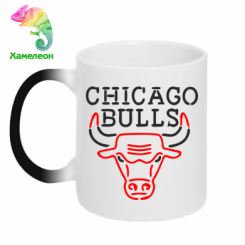  - Chicago Bulls Logo