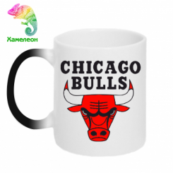  - Chicago Bulls