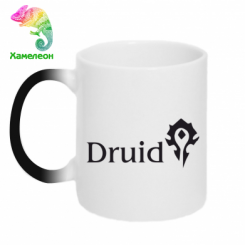  - Druid Orc