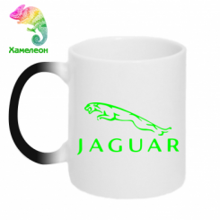  - Jaguar