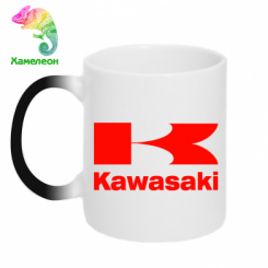  - Kawasaki