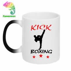  - Kickboxing Fight