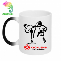 - Kyokushin Full Contact