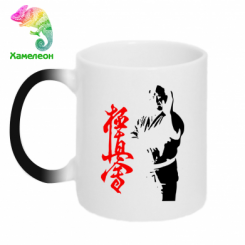  - Kyokushin Kanku Master