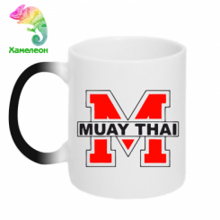  - Muay Thai Big M