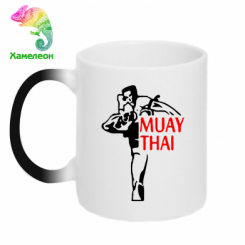  - Muay Thai kick