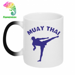  - Muay Thai