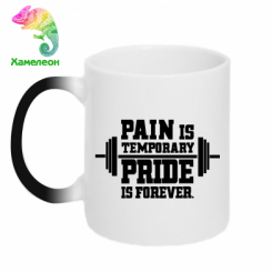  - Pain is temporary pride is forever