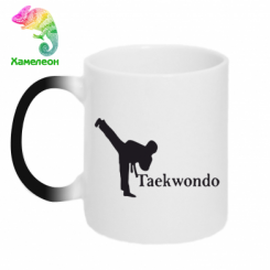  - Taekwondo