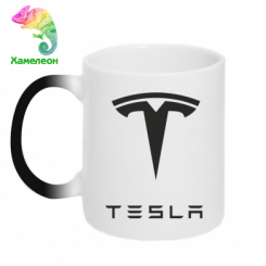  - Tesla Logo