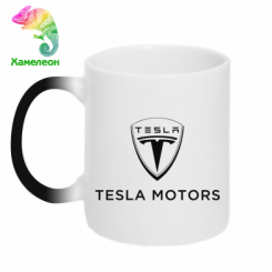  - Tesla Motors