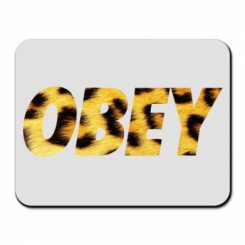     Obey Art