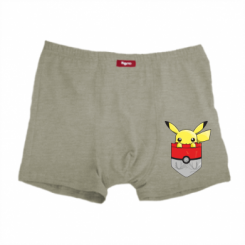    Pikachu in pocket