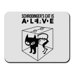     Schrodinger's cat is alive