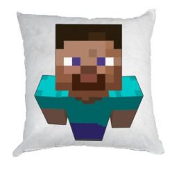   Steve from Minecraft