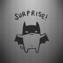  Surprise!