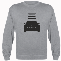   Tesla Car